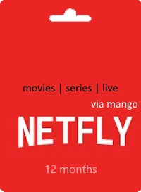 NETFLY iptv subscription