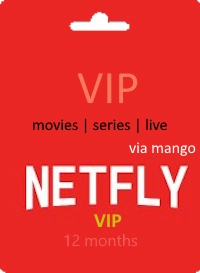 NETFLY VIP-12months-active-code