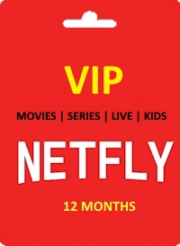 NETFLY_VIP_12months_subscription